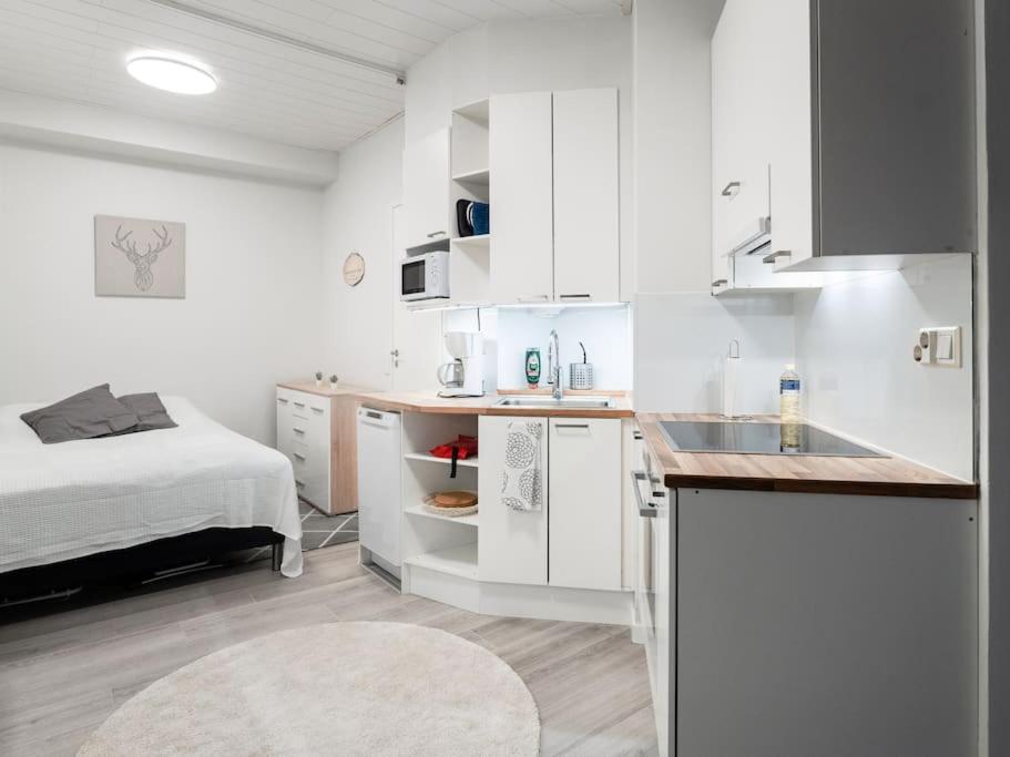 Cozy Roomy Studio Flat Next To Tram Stop @ Kallio 赫尔辛基 外观 照片