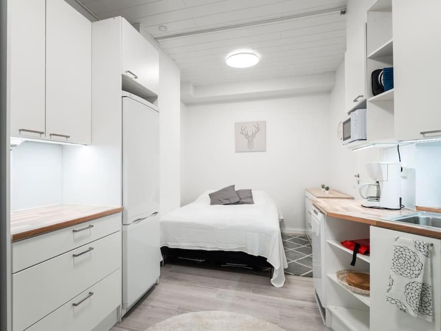 Cozy Roomy Studio Flat Next To Tram Stop @ Kallio 赫尔辛基 外观 照片
